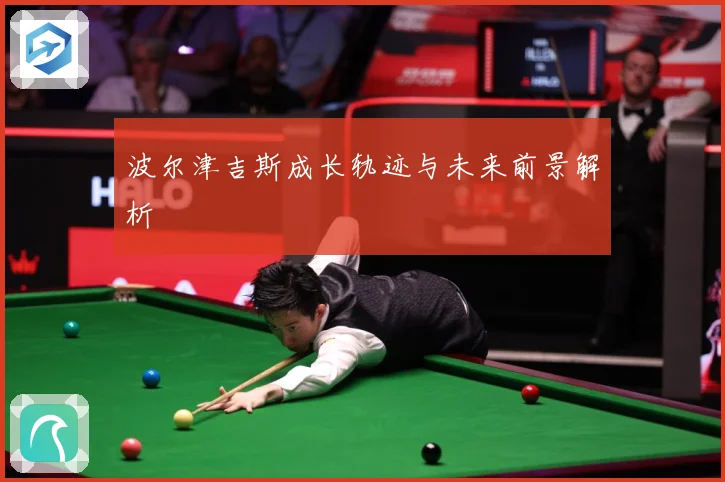 波尔津吉斯成长轨迹与未来前景解析